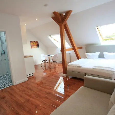 Zollikof Aparts - Sauna & Studioapartments-3